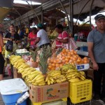 Barkunan di fruta venezolano - José Manuel Dias 
