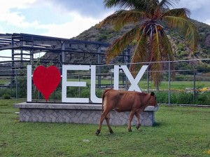 Pa hasi kompra na Sint Eustatius ta kasi dos biaha mas karu ku na Hulanda – potrèt: Elisa Koek
