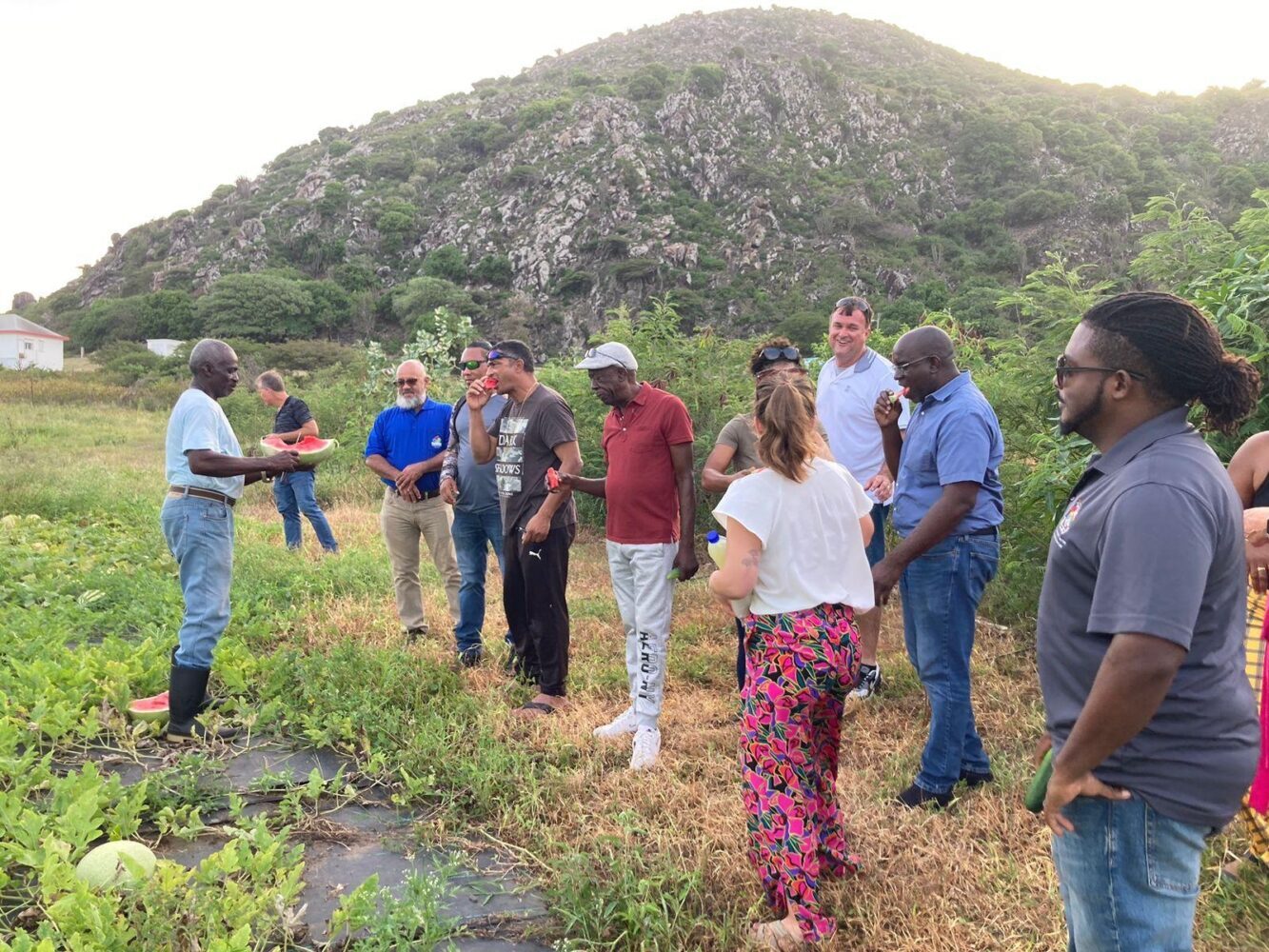 Kon herensia kolonial i reglanan modèrno ta frena interkambio alimentisio entre islanan karibense
